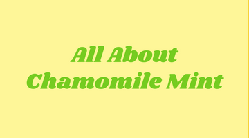Highlight: Chamomile Mint