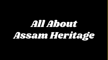 Partner Story: Assam Heritage Tea