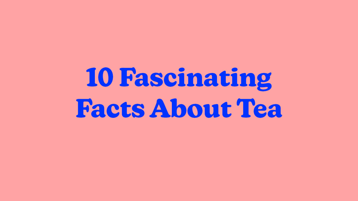 Tea Key Facts 10 Fascinating Facts About Tea – Big Heart Tea Co.