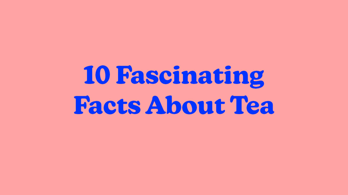 10 Fascinating Facts About Tea – Big Heart Tea Co.