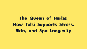The Queen of Herbs: How Tulsi Supports Stress, Skin, and Spa Longevity