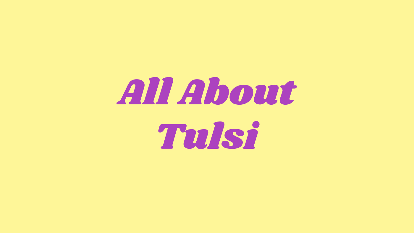 Tulsi, the super herb with a myriad of benefits