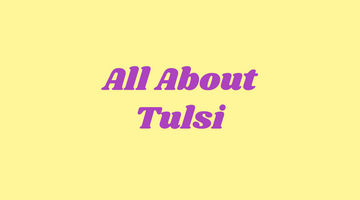 Tulsi the super herb with a myriad of benefits