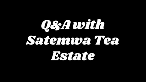 Q&A with Satemwa Tea Estate