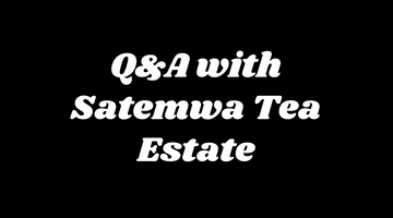 Q&A with Satemwa Tea Estate