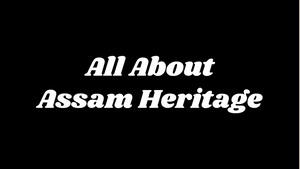 Partner Story: Assam Heritage Tea