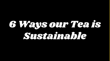 6 Ways our Tea is Sustainable