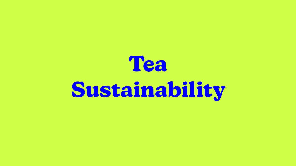 Tea Sustainability Big Heart Tea Co.
